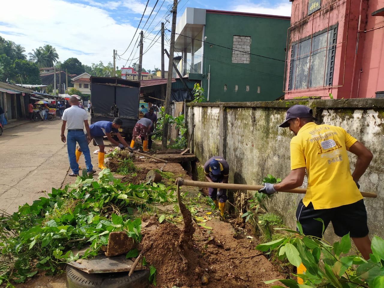 Five cats looking around a field.